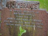 image of grave number 919823